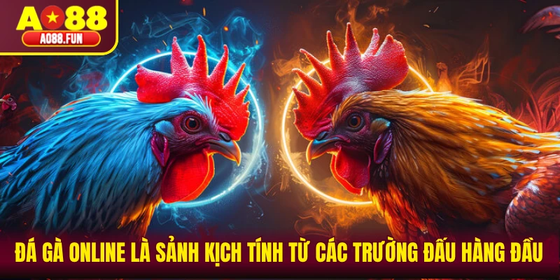Đá gà online là sảnh kịch tính từ các trường đấu hàng đầu